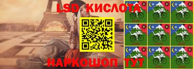 гидра Кандалакша