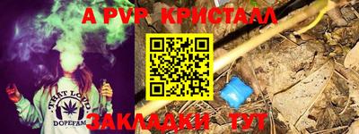 ешки Камышлов