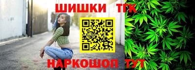 ешки Камышлов
