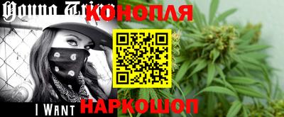 гидра Кандалакша
