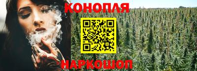 гидра Кандалакша