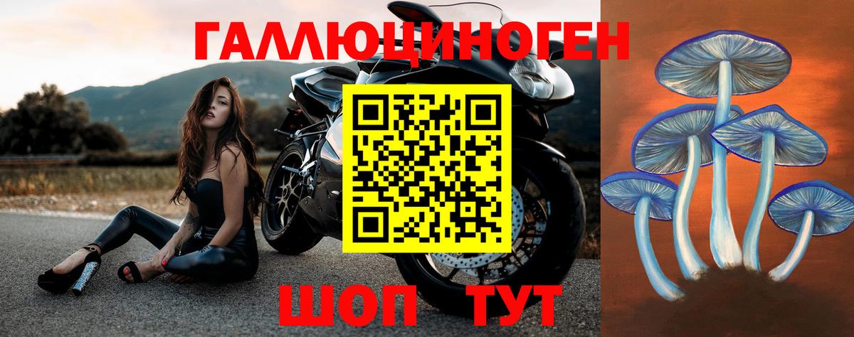 Псилоцибиновые грибы MAGIC MUSHROOMS Краснознаменск