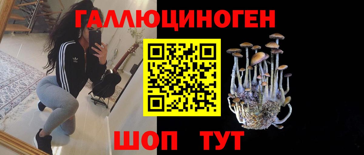Галлюциногенные грибы ЛСД  Псилоцибиновые грибы прущие грибы  Вход с VPN  Краснознаменск 